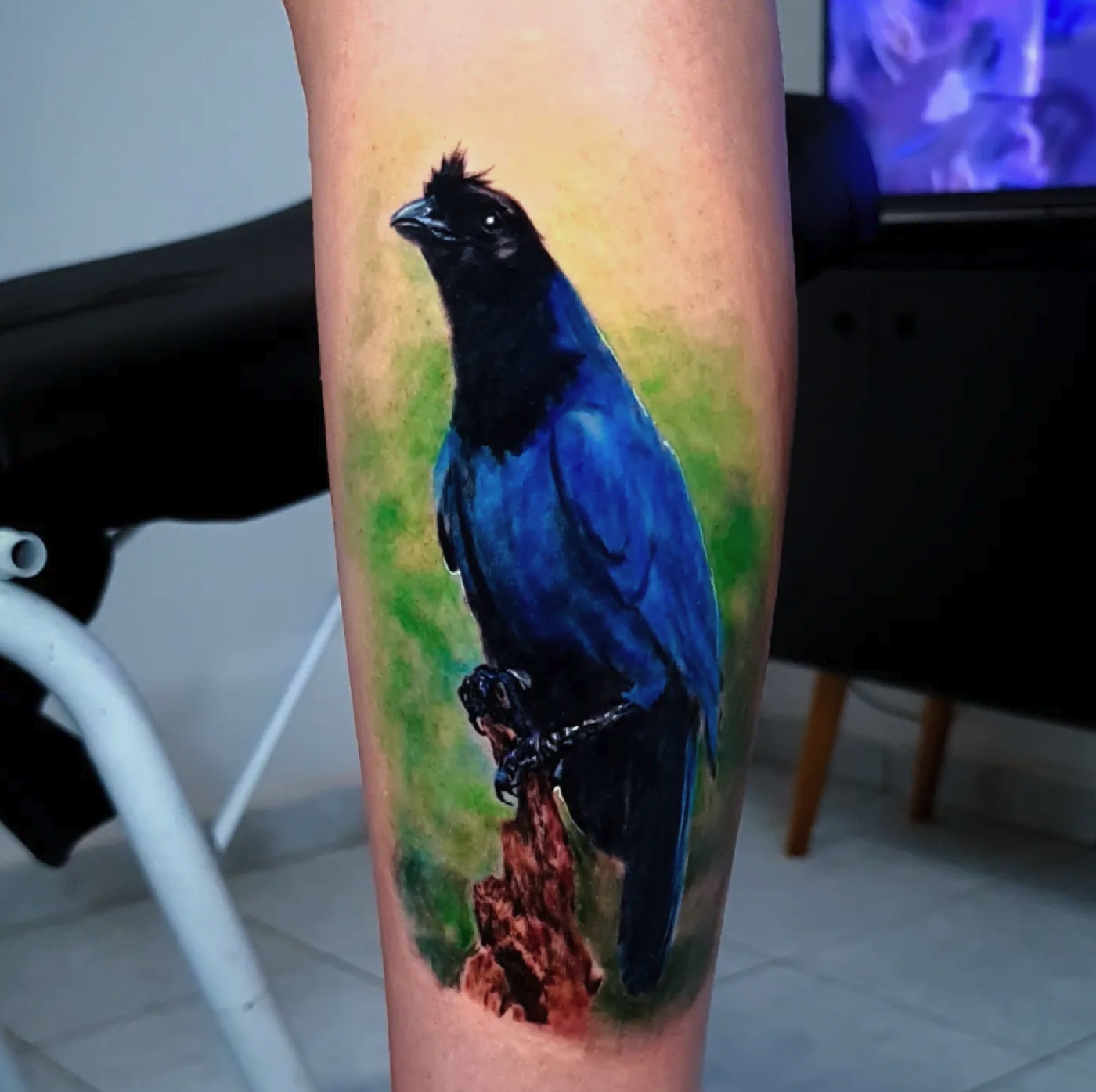 Color realism blue bird tattoo