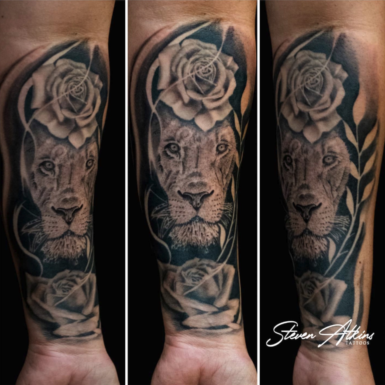 Black and grey realism lioness tattoo