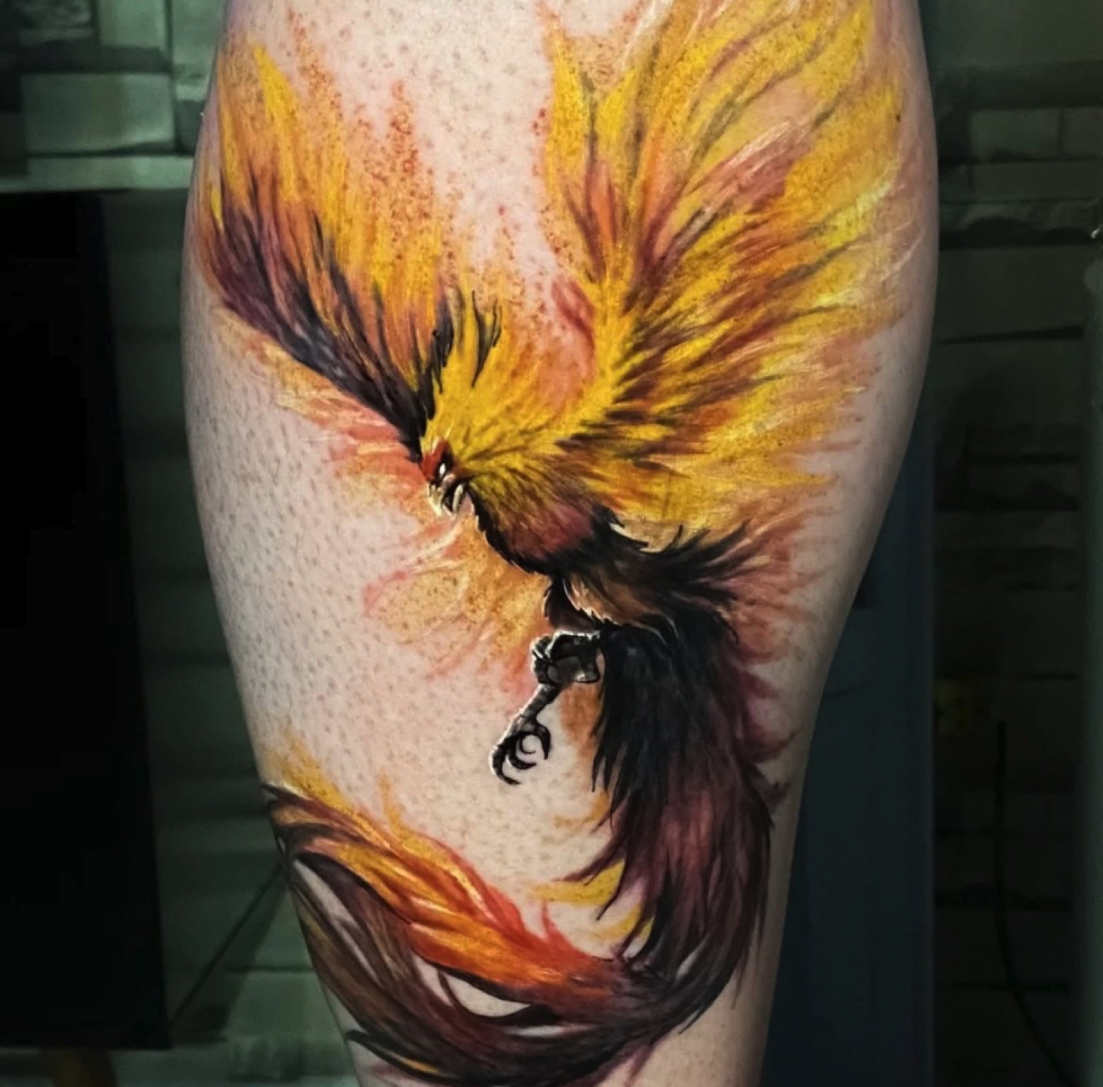 Color phoenix tattoo