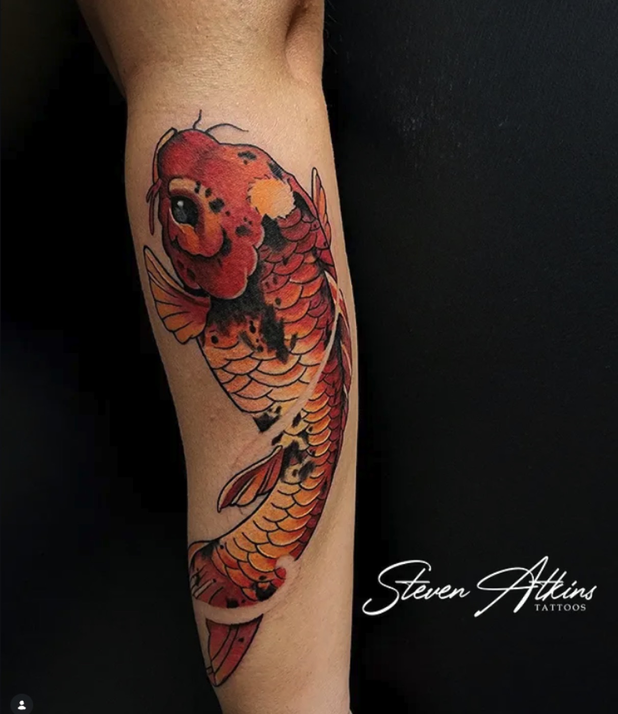 Color koi fish tattoo